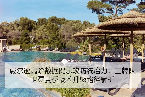 威尔逊高阶数据揭示攻防统治力，王牌队卫冕赛季战术升级路径解析