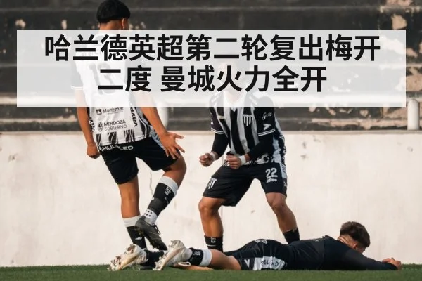 哈兰德英超第二轮复出梅开二度 曼城火力全开