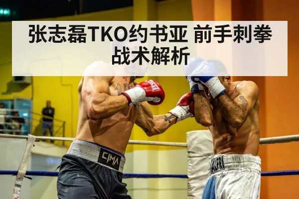 张志磊TKO约书亚 前手刺拳战术解析